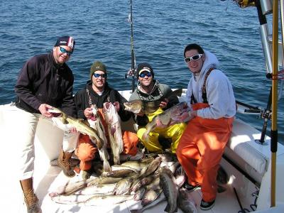 A limit of Cod on the SWEET DREAM III